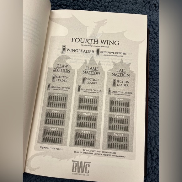 Iron Flame Rebecca Yarros Sprayed Edges Black First Edition Fourth Wing Book 2 - Picture 5 of 16